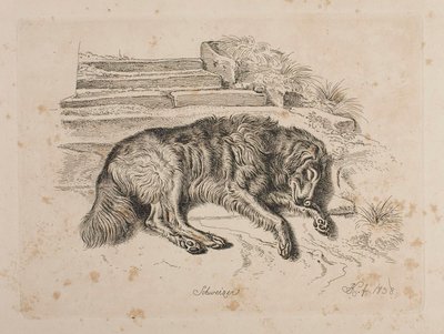 Schweizer, egy kutya alkotó: Johann Adam Klein