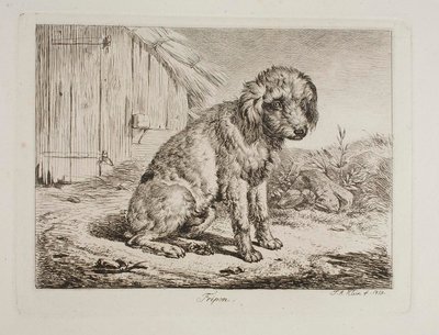 Fripon, az uszkár alkotó: Johann Adam Klein