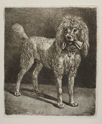 Schwalerl, az uszkár alkotó: Johann Adam Klein