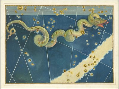 Hydra - Johann Bayer alkotó: Johann Bayer