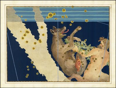 Johann Bayer, Lupus és Centaurus alkotó: Johann Bayer