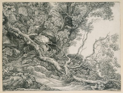 Fák egy sziklás lejtőn alkotó: Johann Christian Reinhart