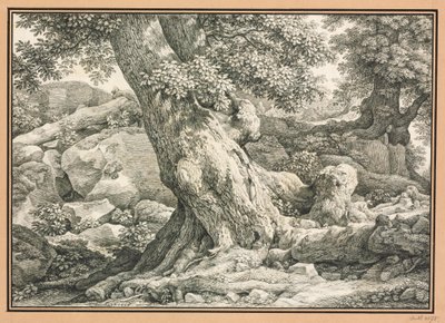 Fatanulmány sziklás terepen alkotó: Johann Christian Reinhart