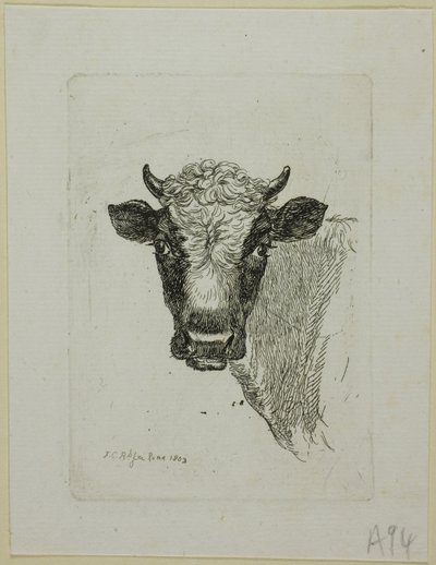 Egy fiatal bika feje, a Die Zweite Thiernahme-tól alkotó: Johann Christian Reinhart