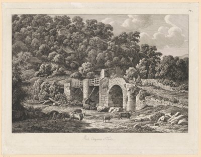 Tájkép - Ponte Aquoreo Tivoliban alkotó: Johann Christian Reinhart