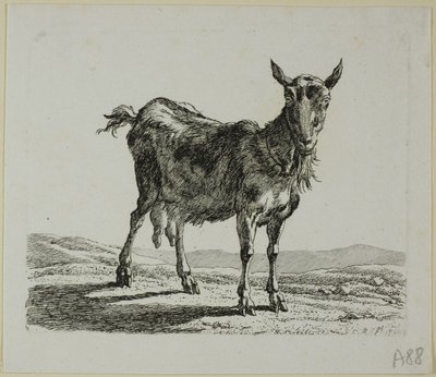 Álló kecske, a Die Zweite Thiernahme-ból alkotó: Johann Christian Reinhart