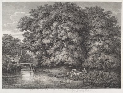 A malom a Great Oaksnál alkotó: Johann Christian Reinhart