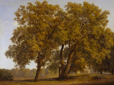 A Villa Borghese kertjében álló fák alkotó: Johann Christian Reinhart