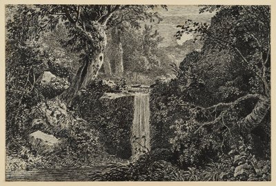 Vízesés az erdőben alkotó: Johann Christoph Erhard
