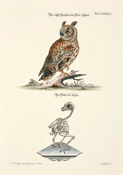  alkotó: Johann Daniel Meyer