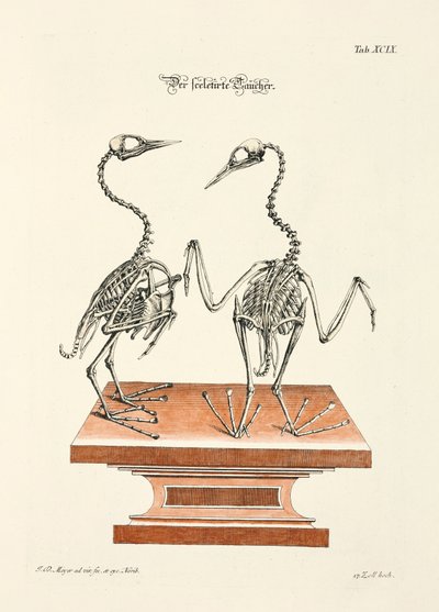  alkotó: Johann Daniel Meyer