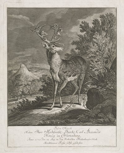 Egy csodálatos szarvas a tájon alkotó: Johann Elias Ridinger
