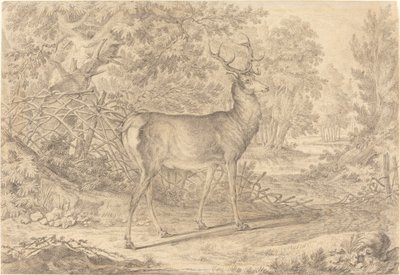 Csodálatos fiatal szarvas szarvas a kerítés előtt alkotó: Johann Elias Ridinger