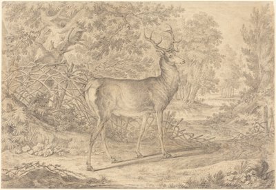 Pompás fiatal szarvas vesszőfonatú kerítés előtt alkotó: Johann Elias Ridinger