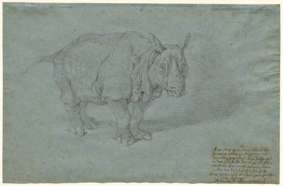 Az orrszarvú "Miss Clara" alkotó: Johann Elias Ridinger