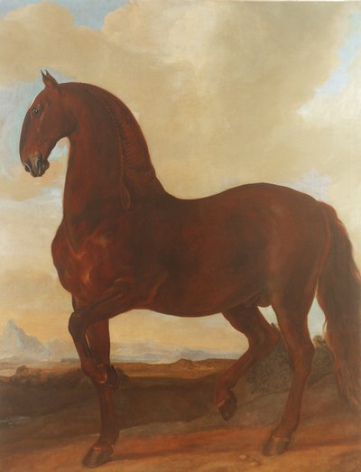 Az öböli mén az Eisgruber Ménesnél alkotó: Johann Georg Hamilton