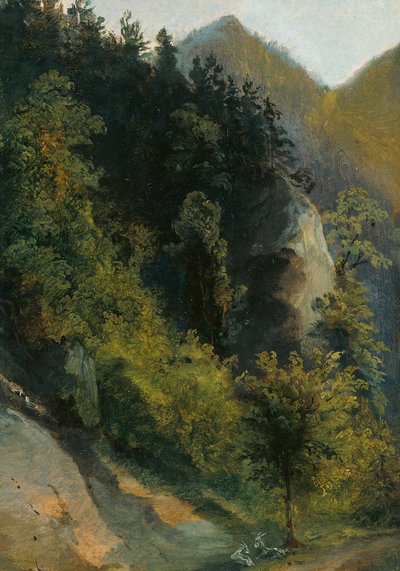 Erdős sziklavölgy kecskékkel alkotó: Johann Georg von Dillis