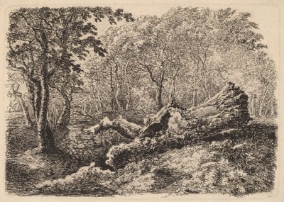 Penészes fatörzs, 1794. alkotó: Johann Georg von Dillis