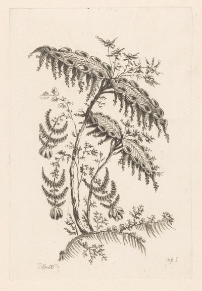 Levelei szarv alakúak Fleures Baroque (sorozat címe) alkotó: Johann Heinrich  Hess