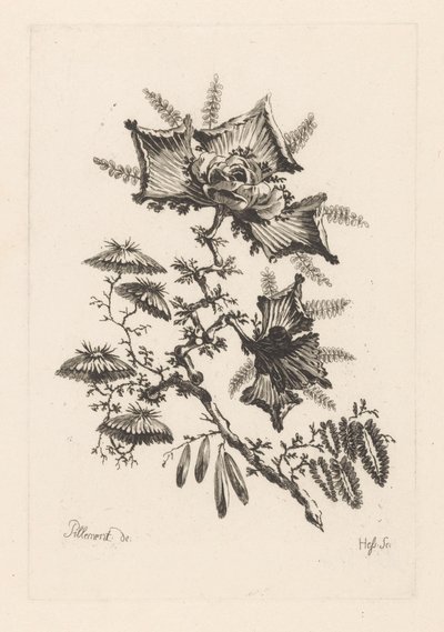 Kánya alakú virágok Fleures Baroque (sorozat címe) alkotó: Johann Heinrich  Hess
