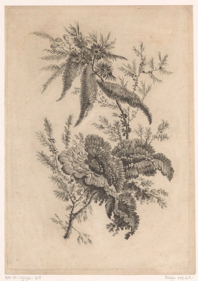 Wilde roosachtigen Új ízű virágok gyűjteménye; A Manufacture des Etoffes de Perse számára (sorozat címe) alkotó: Johann Heinrich  Hess