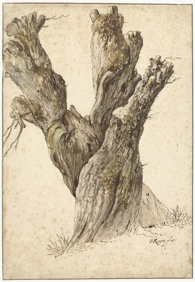 Fejelt fűzfa alkotó: Johann Heinrich Roos