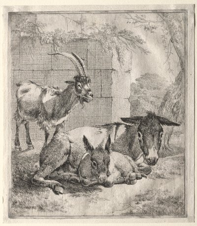 Kecske és szamarak alkotó: Johann Heinrich Roos