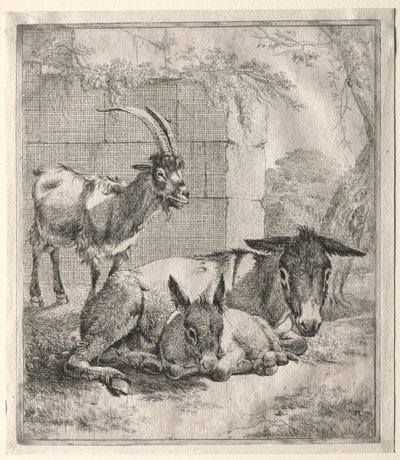 Kecske és szamarak. alkotó: Johann Heinrich Roos