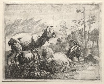 Kecske, 1665. alkotó: Johann Heinrich Roos