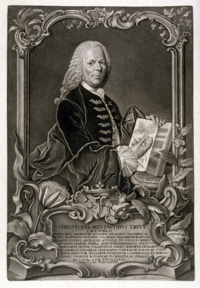 C. J. Trew, botanikus, kocsma. 1768 körül alkotó: Johann Jakob Haid