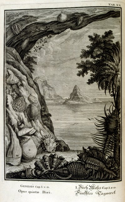 Rézmetszet a 