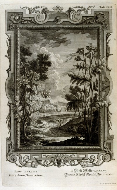 Ábra alkotó: Johann Jakob Scheuchzer