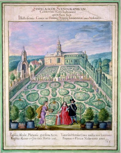 Holland kert, a „Nassau Florilegium”-ból, 1650 alkotó: Johann Jakob Walther