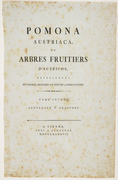 Címlap a „Pomona Austriaca, avagy osztrák gyümölcsfák” című könyvből, 1787-96 (nyomtatás) alkotó: Johann Kraft