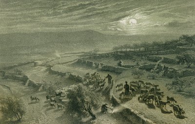 A Pásztorok Völgye Betlehemben. Rézkarc: Bernatz et aii – Steinkopk J.F. Editore alkotó: Johann Martin Bernatz