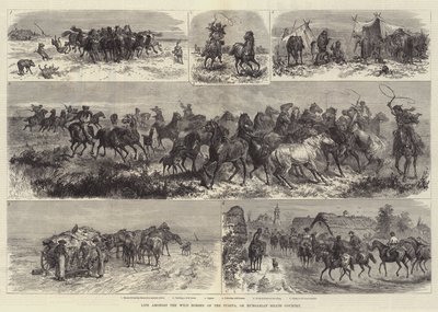 Élet a pusztai vadlovak között, avagy magyar pápa alkotó: Johann Nepomuk Schonberg