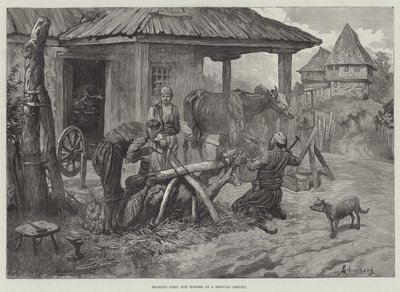 Ökörök és lovak patkolása egy szerviai kovácsműhelyben alkotó: Johann Nepomuk Schonberg