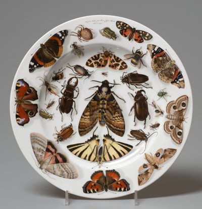 Plate, Lippert & Haas, Schlaggenwald alkotó: Johann Quast