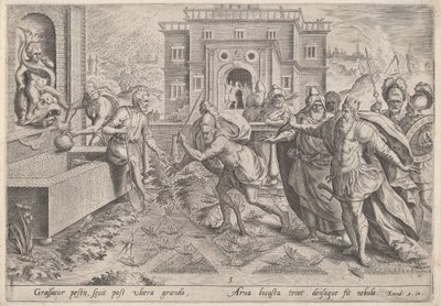 A sáskák pestise, 1585 körül. alkotó: Johann Sadeler I