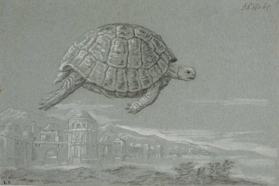 Tanulmány egy teknősről és egy megerősített város kilátásai a tenger mellett (Velence) alkotó: Johann Salomon Wahl