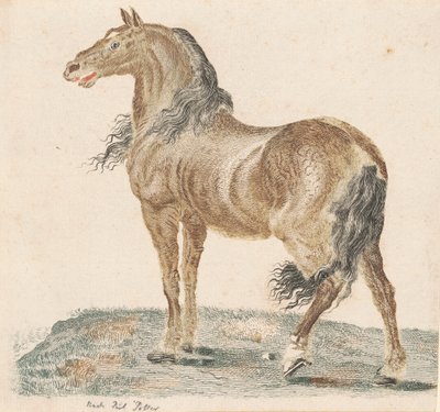 A szomszéd ló alkotó: Johann Teyler, after Paulus Potter