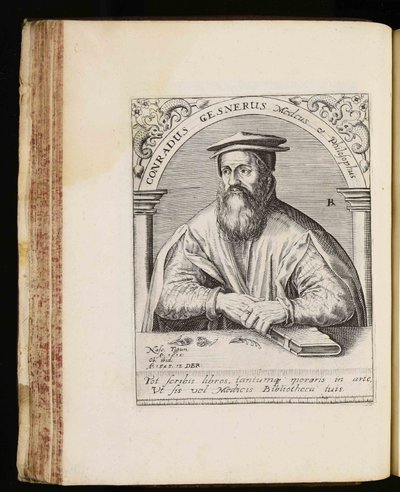 Conrad Gessner alkotó: Johann Theodor de Bry