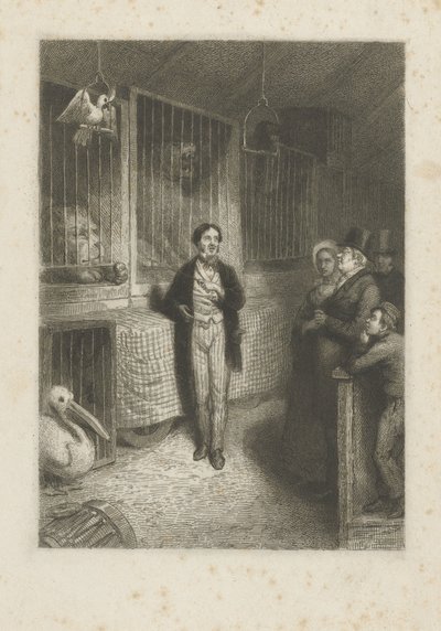Állatokat nézni alkotó: Johann Wilhelm Kaiser (I)