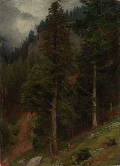 Lejtő a fenyvesben alkotó: Johann Wilhelm Schirmer