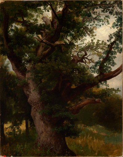 Tölgyfa alkotó: Johann Wilhelm Schirmer