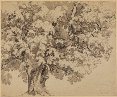 Tölgyfa a Kassel melletti Wilhelmshöhén alkotó: Johann Wilhelm Schirmer