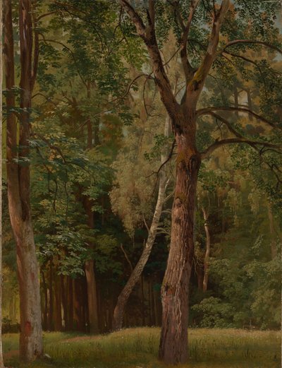 Lombhullató erdő gesztenyefákkal és nyírfákkal alkotó: Johann Wilhelm Schirmer