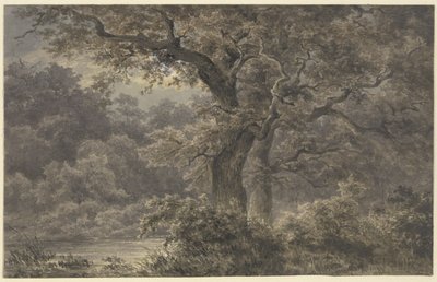 Tölgyfák az erdőben alkotó: Johann Wilhelm Schirmer