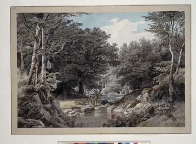 Erdei részlet szarvasokkal a víznél alkotó: Johann Wilhelm Schirmer