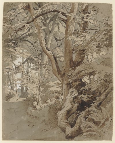 Erdei jelenet tölgyfával és páfrányokkal alkotó: Johann Wilhelm Schirmer